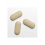 PENIS PLUS ERECT 90 TABS