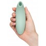 Melt 2 Sage by We-Vibe