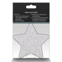 PRETTY PASTIES GLITTER STARS RED SILVER 2 PAIR