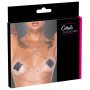Nipple Jewellery silver chain