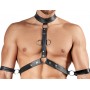 Men's Harness and Pants M