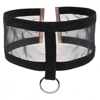 Sportsheets - S&M Sheer Day Collar