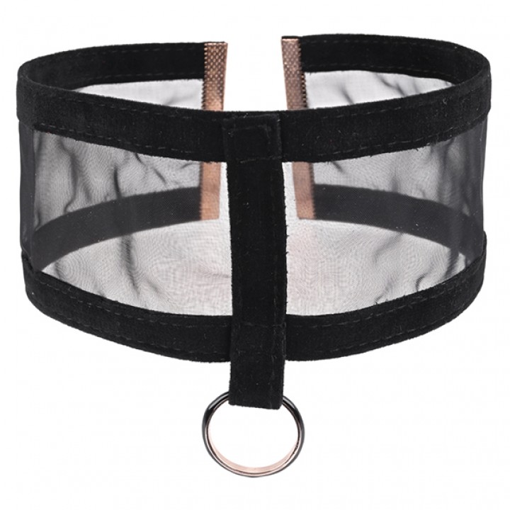 Sportsheets - S&M Sheer Day Collar