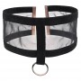Sportsheets - S&M Sheer Day Collar