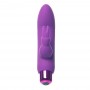 Powerbullet vibrators