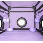 La Niche - Purple