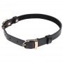 Sportsheets - S&M Double Buckle Day Collar