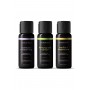 WICKED SENSUAL MASSAGE OIL LAVENDER ROSEMARY 120ML