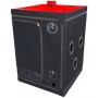 Scandale - Black & Red