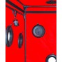 Scandale - Black & Red