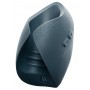Pulse Duo 2025