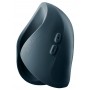 Pulse Duo 2025