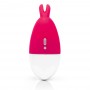 Vibrators Happyrabbit