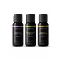 WICKED SENSUAL MASSAGE OIL LEMONGRASS GINGER 120ML