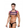 ENVY LOGO HARNESS BLUE PINK, S/M