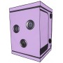 Scandale - Purple