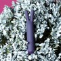 Je Joue - Rabbit Bullet Vibrator Purple