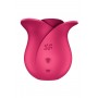 Vibrators Modern Rose