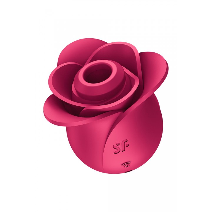 Vibrators Modern Rose