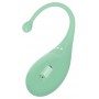 Adrien Lastic Palpitation Mint