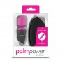 Palm Power Pocket Masieris Vibrators