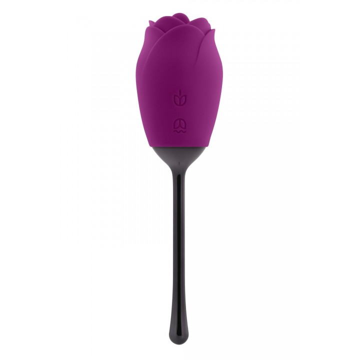 Vibrators Playboy Petal vibrator, violets/melns
