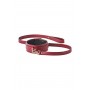 BLAZE ELITE COLLAR AND LEASH RED - Dream Toys