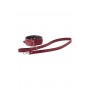 BLAZE ELITE COLLAR AND LEASH RED