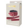 BLAZE ELITE COLLAR AND LEASH RED - Dream Toys