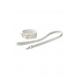 BLAZE ELITE COLLAR AND LEASH WHITE - Dream Toys