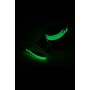 RADIANT COLLAR AND LEASH GLOW IN THE DARK GREEN - Dream Toys