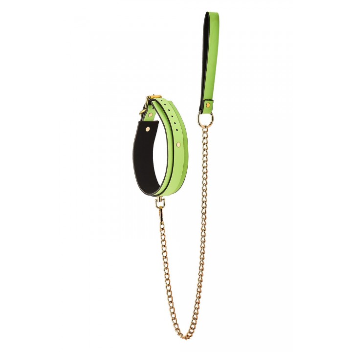 RADIANT COLLAR AND LEASH GLOW IN THE DARK GREEN - Dream Toys