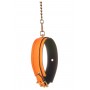 RADIANT COLLAR AND LEASH GLOW IN THE DARK ORANGE - Dream Toys