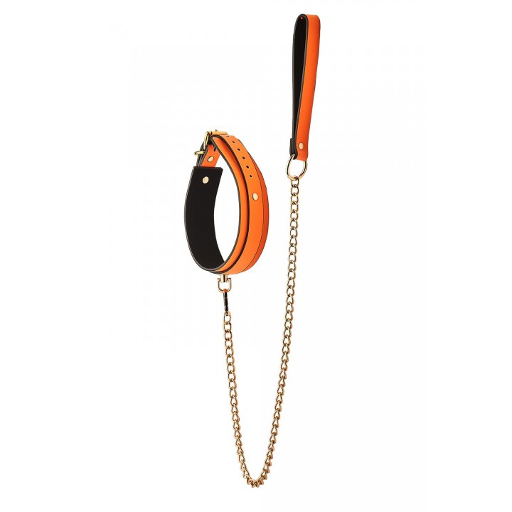 RADIANT COLLAR AND LEASH GLOW IN THE DARK ORANGE - Dream Toys