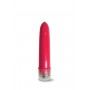 HAPPY ENDING PLEASURE PACKAGE I DIDN'T KNOW YOUR SIZE 4" MULTI-SPEED VIBE - Global Novelties