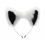 White Fox Tail and Ears Set