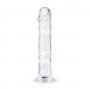 Jelly Dildo without balls - 18 cm