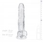 Jelly Dildo with Balls - 17 cm