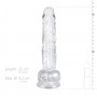 Jelly Dildo with balls - 19 cm