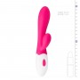 Aurora Vibe Rabbit vibrators