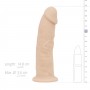 Real Fantasy Deluxe - Harris Realistic Dildo - 15 cm