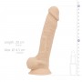 Real Fantasy Deluxe - Ashton Realistic Dildo - 21 cm