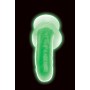 Glow in the dark Realistic Dildo with Balls - Green