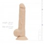 Real Fantasy Deluxe - Quentin Realistic Dildo - 24 cm