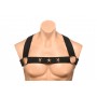 XR Brands - Chest Harness with Armbands - Black - L/XL