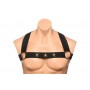 XR Brands - Chest Harness with Armbands - Black - L/XL