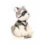 XR Brands - Fetish Puppy - Grey & White XR Brands - Fetish Puppy - Grey & White