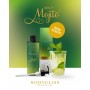 BodyGliss – Massage Oil and Lubricant in 1 Minty Mojito – 150 ml BodyGliss – Massage Oil and Lubricant in 1 Minty Mojito – 150 ml