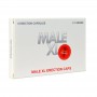 Male XL Erection Erection Pills Male XL Erection Erection Pills