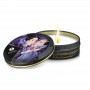 Rinkinys Shunga The Geisha's Secret Kit Exotic Fruits, 5 dalių